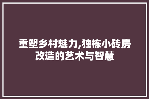 重塑乡村魅力,独栋小砖房改造的艺术与智慧 建筑设计