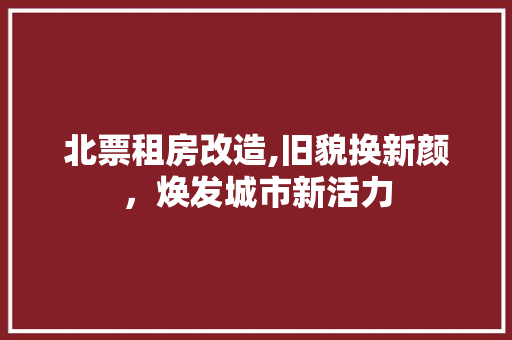 北票租房改造,旧貌换新颜，焕发城市新活力