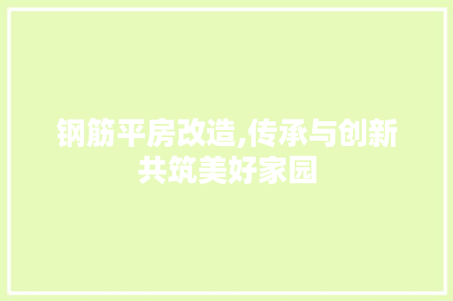 钢筋平房改造,传承与创新共筑美好家园