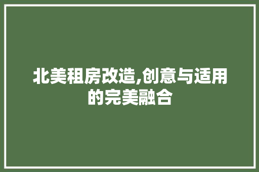 北美租房改造,创意与适用的完美融合