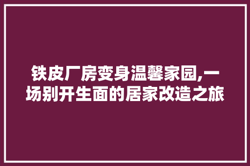 铁皮厂房变身温馨家园,一场别开生面的居家改造之旅