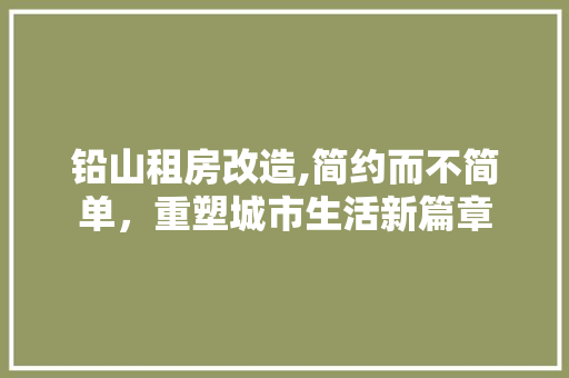 铅山租房改造,简约而不简单，重塑城市生活新篇章