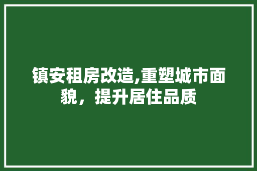 镇安租房改造,重塑城市面貌，提升居住品质