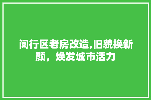 闵行区老房改造,旧貌换新颜，焕发城市活力