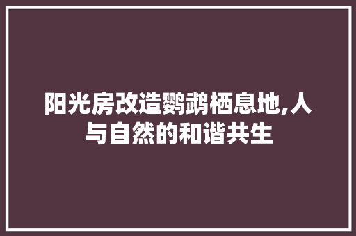 阳光房改造鹦鹉栖息地,人与自然的和谐共生