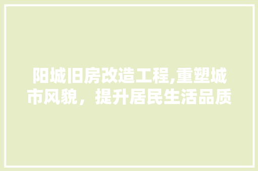 阳城旧房改造工程,重塑城市风貌，提升居民生活品质