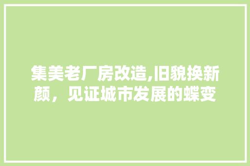集美老厂房改造,旧貌换新颜，见证城市发展的蝶变 装修材料