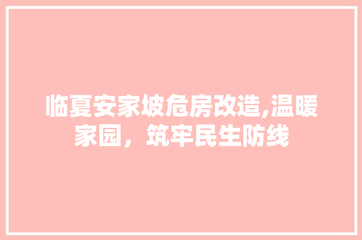 临夏安家坡危房改造,温暖家园，筑牢民生防线