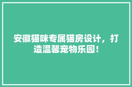 安徽猫咪专属猫房设计，打造温馨宠物乐园！