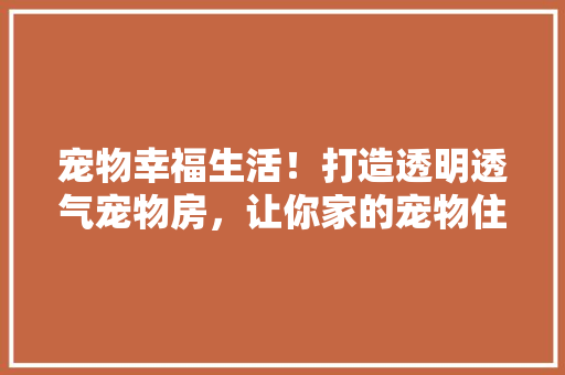 宠物幸福生活！打造透明透气宠物房，让你家的宠物住得舒心又健康！
