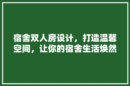 宿舍双人房设计，打造温馨空间，让你的宿舍生活焕然一新！