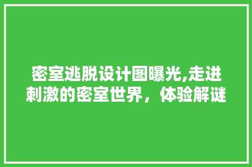 密室逃脱设计图曝光,走进刺激的密室世界，体验解谜乐趣！