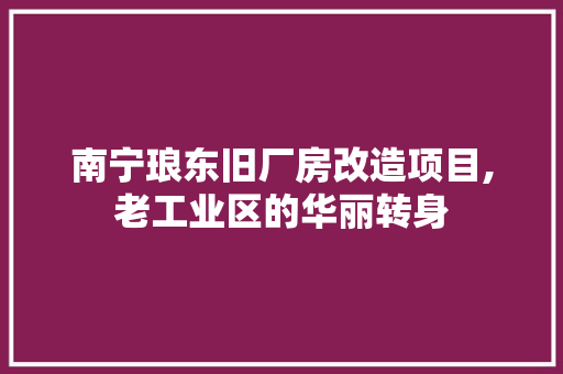 南宁琅东旧厂房改造项目,老工业区的华丽转身