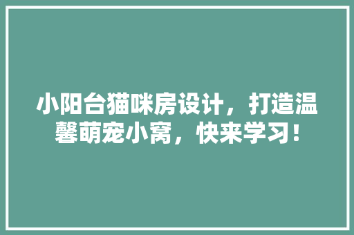 小阳台猫咪房设计，打造温馨萌宠小窝，快来学习！