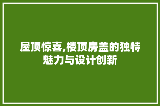 屋顶惊喜,楼顶房盖的独特魅力与设计创新