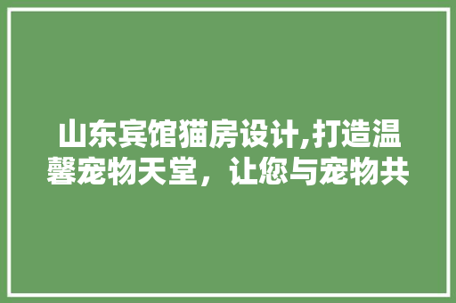 山东宾馆猫房设计,打造温馨宠物天堂，让您与宠物共度美好时光