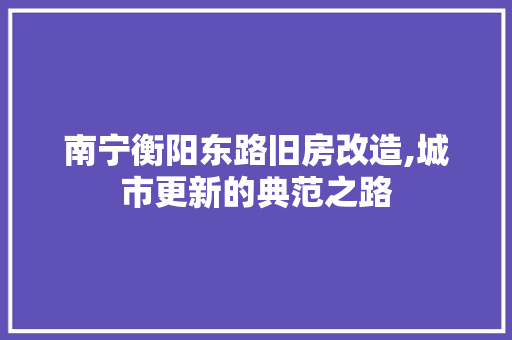 南宁衡阳东路旧房改造,城市更新的典范之路