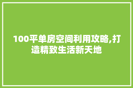 100平单房空间利用攻略,打造精致生活新天地