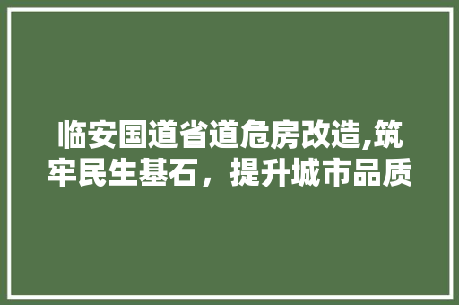 临安国道省道危房改造,筑牢民生基石，提升城市品质