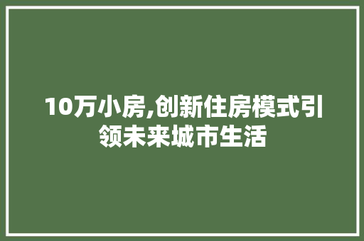10万小房,创新住房模式引领未来城市生活