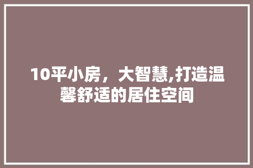 10平小房，大智慧,打造温馨舒适的居住空间