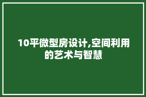 10平微型房设计,空间利用的艺术与智慧