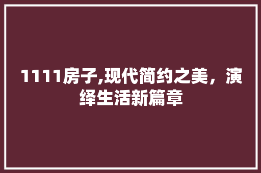 1111房子,现代简约之美，演绎生活新篇章