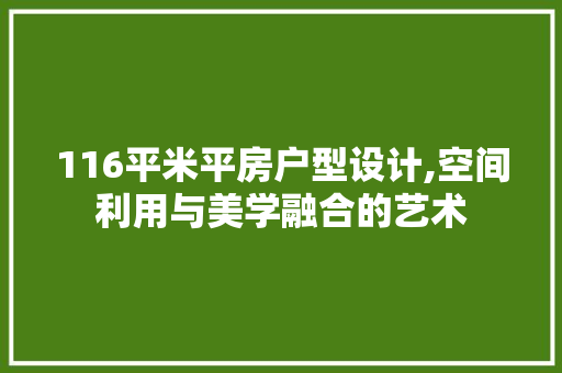 116平米平房户型设计,空间利用与美学融合的艺术