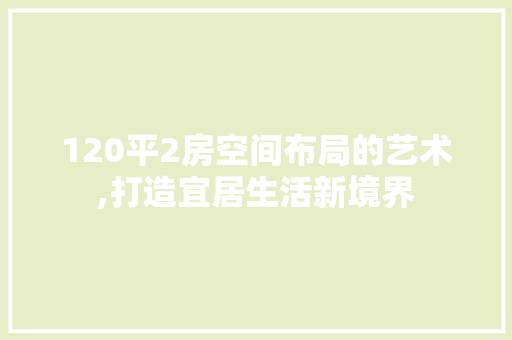 120平2房空间布局的艺术,打造宜居生活新境界