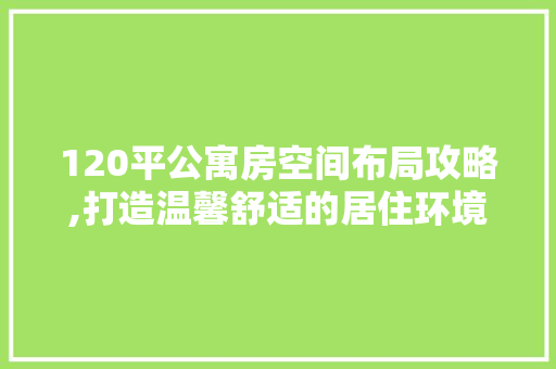 120平公寓房空间布局攻略,打造温馨舒适的居住环境