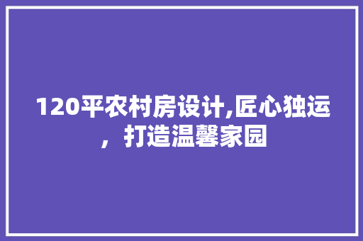 120平农村房设计,匠心独运，打造温馨家园