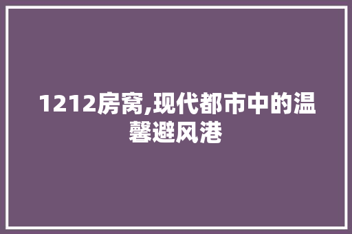 1212房窝,现代都市中的温馨避风港