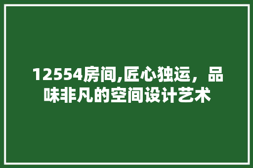 12554房间,匠心独运，品味非凡的空间设计艺术