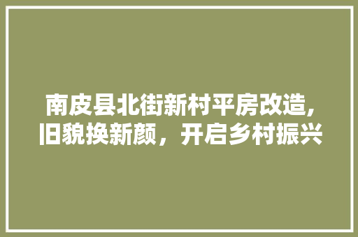 南皮县北街新村平房改造,旧貌换新颜，开启乡村振兴新篇章