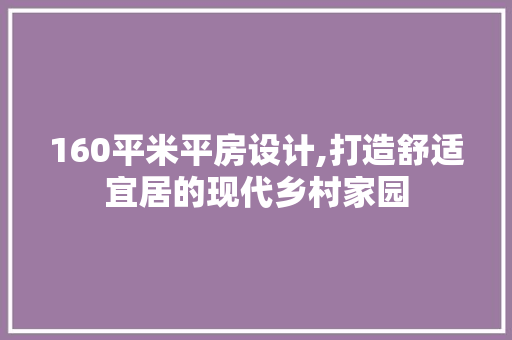 160平米平房设计,打造舒适宜居的现代乡村家园