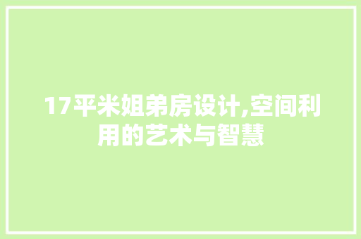 17平米姐弟房设计,空间利用的艺术与智慧 地面装修