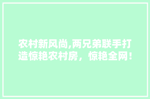 农村新风尚,两兄弟联手打造惊艳农村房，惊艳全网！