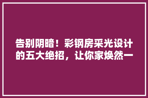 告别阴暗！彩钢房采光设计的五大绝招，让你家焕然一新