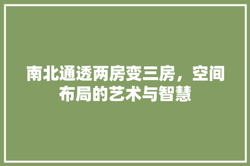 南北通透两房变三房，空间布局的艺术与智慧