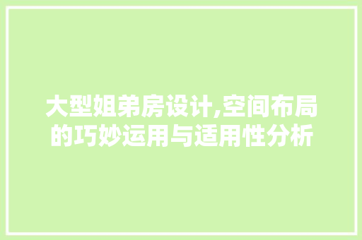 大型姐弟房设计,空间布局的巧妙运用与适用性分析