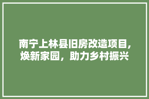 南宁上林县旧房改造项目,焕新家园，助力乡村振兴