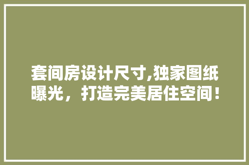 套间房设计尺寸,独家图纸曝光，打造完美居住空间！