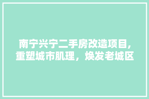 南宁兴宁二手房改造项目,重塑城市肌理，焕发老城区活力