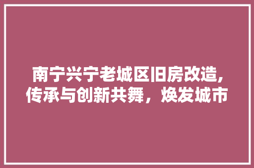 南宁兴宁老城区旧房改造,传承与创新共舞，焕发城市新活力