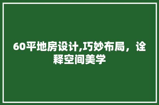 60平地房设计,巧妙布局，诠释空间美学