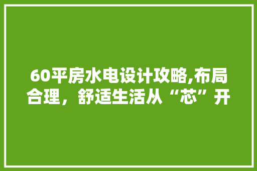 60平房水电设计攻略,布局合理，舒适生活从“芯”开始