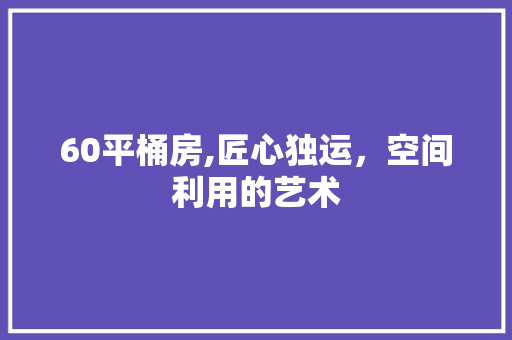 60平桶房,匠心独运，空间利用的艺术 地面装修