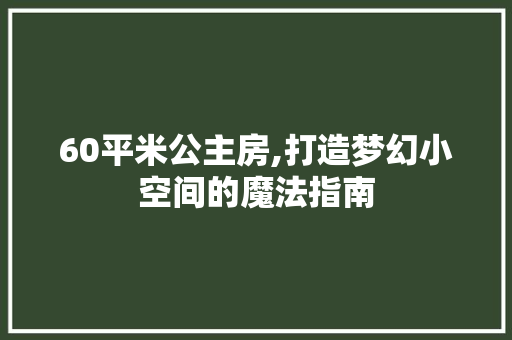 60平米公主房,打造梦幻小空间的魔法指南