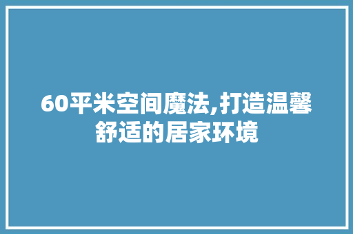 60平米空间魔法,打造温馨舒适的居家环境 地面装修