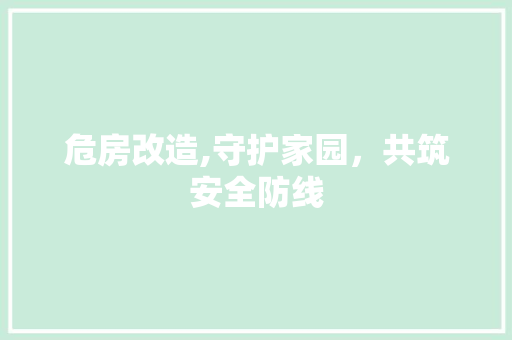 危房改造,守护家园，共筑安全防线